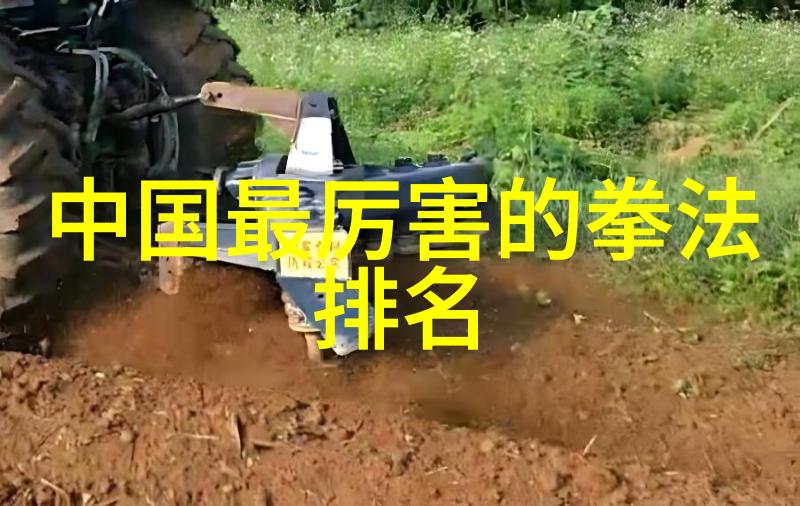 太极拳艺术-掌握24式太极拳谱整套的秘诀与实践