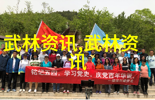 武功门派都有哪些沈氏随手自然之拳种