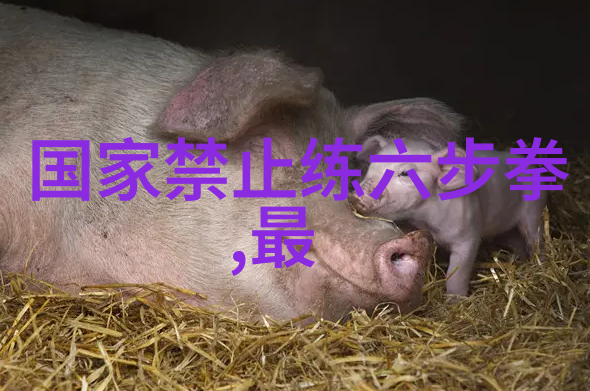 武术初学者如何从泛臀入门浅探陈氏太极拳的起步技巧