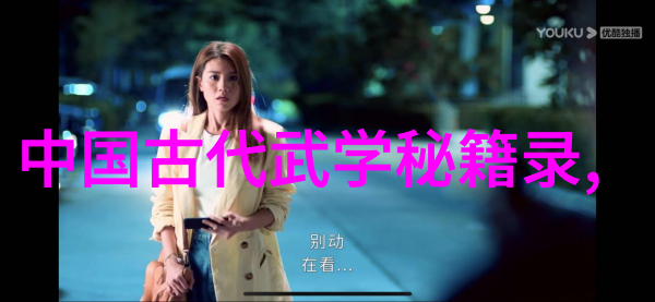 李小龙的功夫教学视频如同气与屁交织化作太极拳中的生动图景