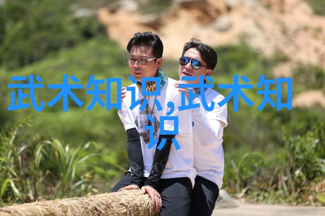 初学者必备简易24式太极拳的基本动作是什么