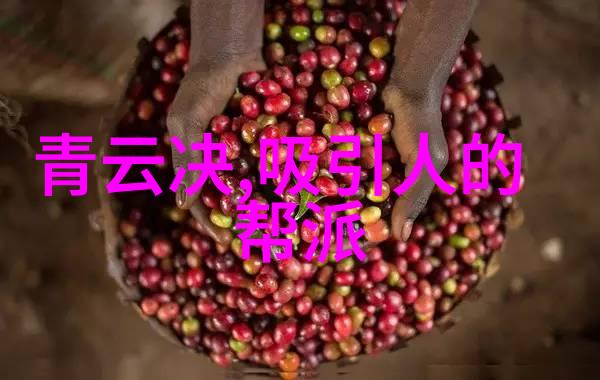 自己在家练武术的教程-掌握基本招式自行在家的武术训练指南