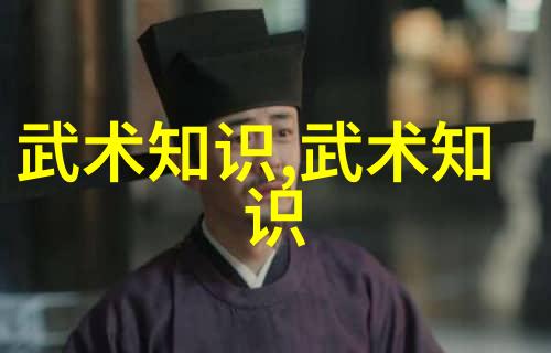 武林秘籍图解全书揭秘古代武学招式之谜