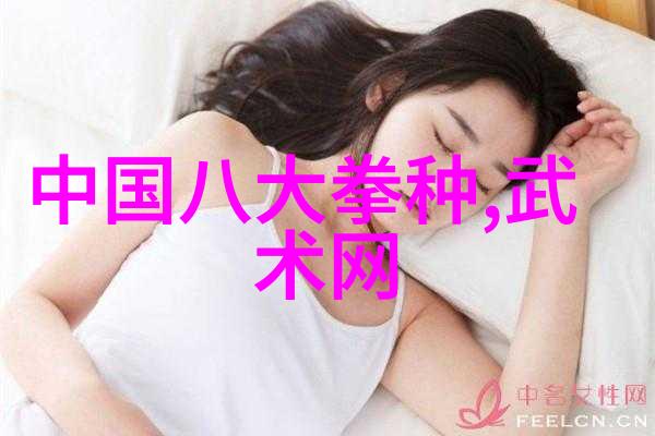 武林门派精华内功剑法拳脚