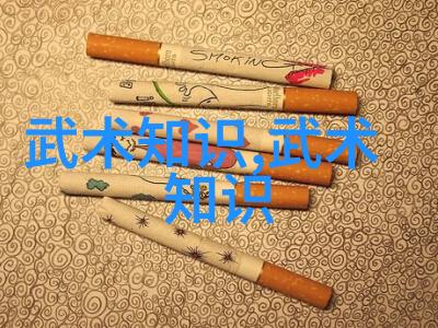 身手俱佳意志更坚自学武术的精神追求
