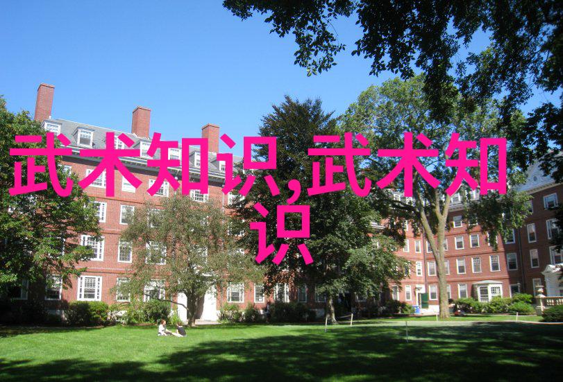 霸占江湖古风长空阁
