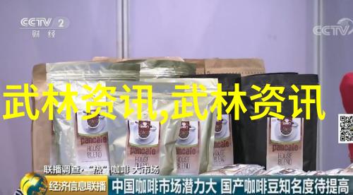 湖南武术门派揭秘湘军功夫的源流与风范