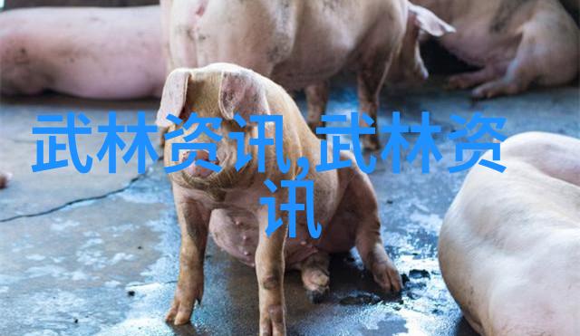如何应对私人健身教练的错误指导技巧与建议
