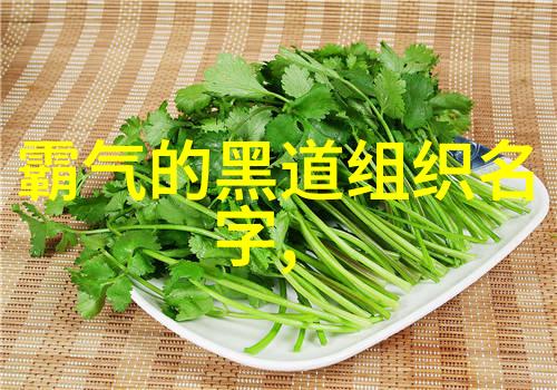 星辰隐门绯月流光的秘密