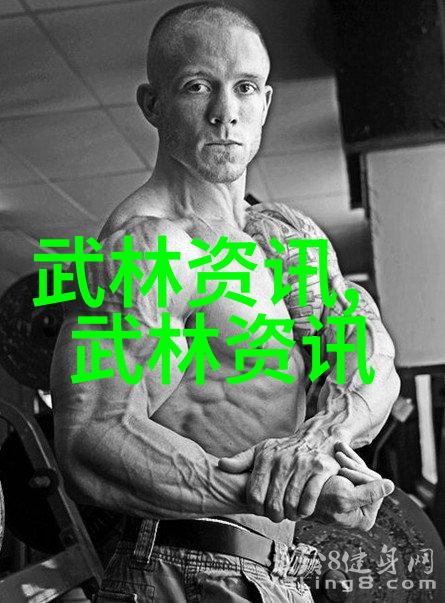 寻宝探险在哪里可以找到传说中的武林圣典