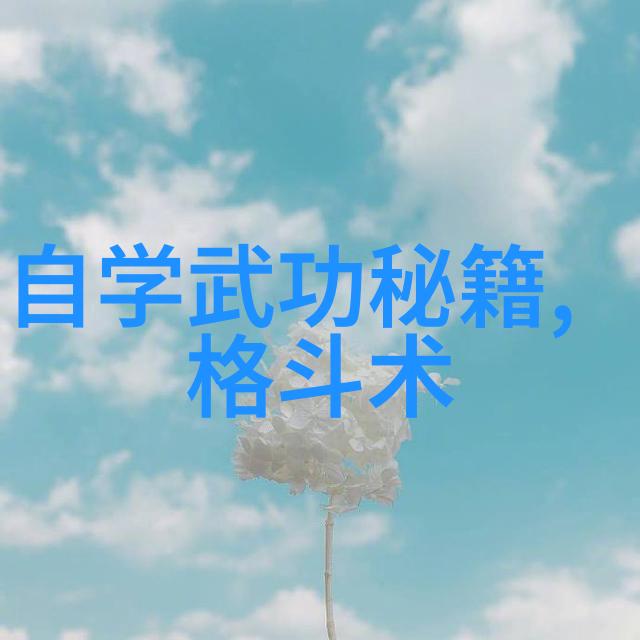 武功与武术的本质差异在哪里