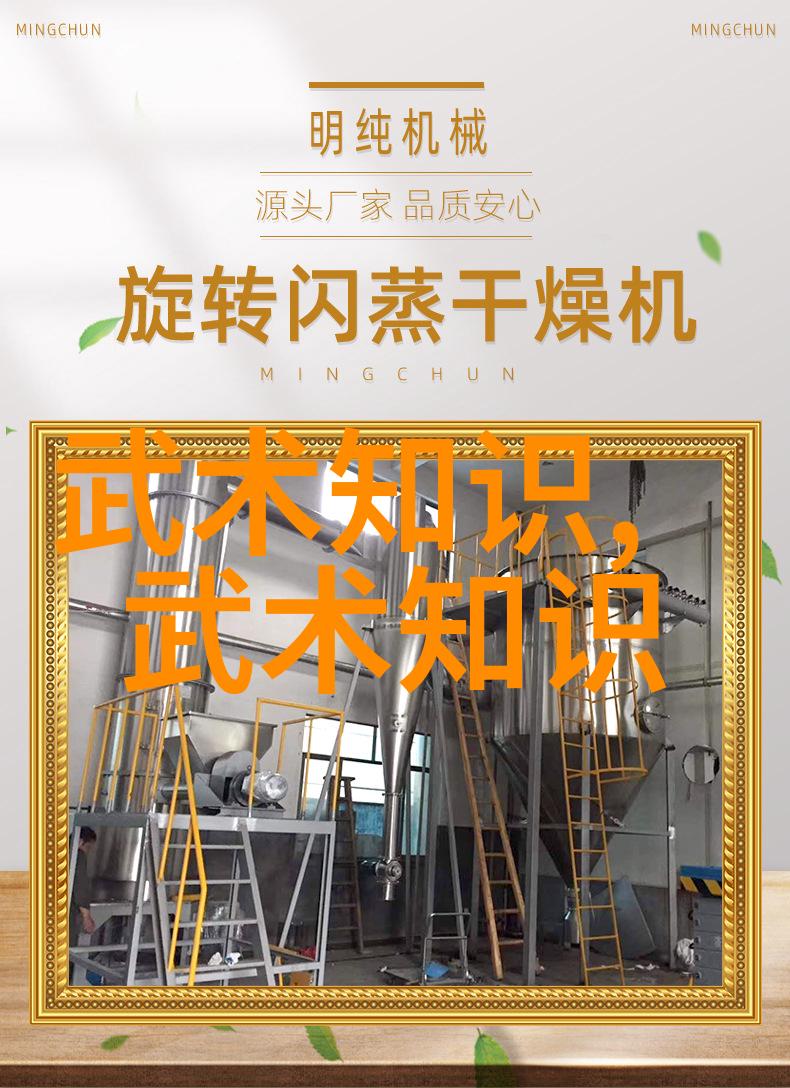 探索太极拳24式图解视频的艺术与实践