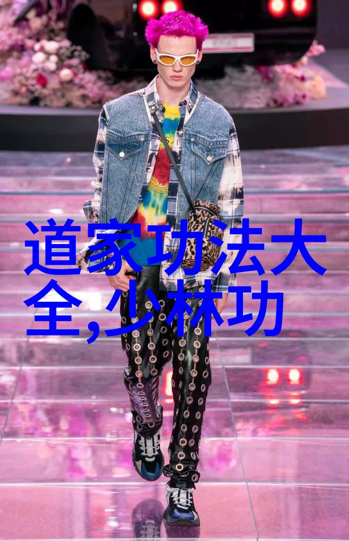 太极拳简化从复杂到简洁的24式探索
