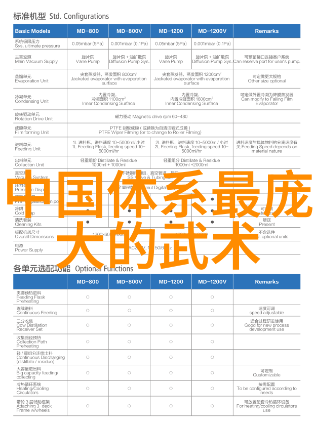 传承古代技艺深入浅出理解拳法十六招式图解