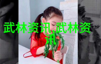 天龙八部的影子在现实中真的有九阴神功和降妖除魔的大师吗
