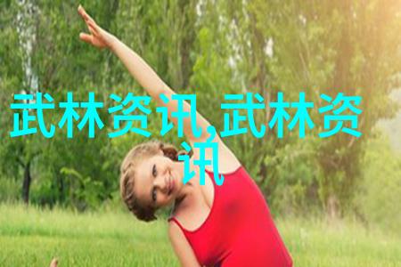 中国武术的巅峰之作揭秘最具实战效能的功夫技巧