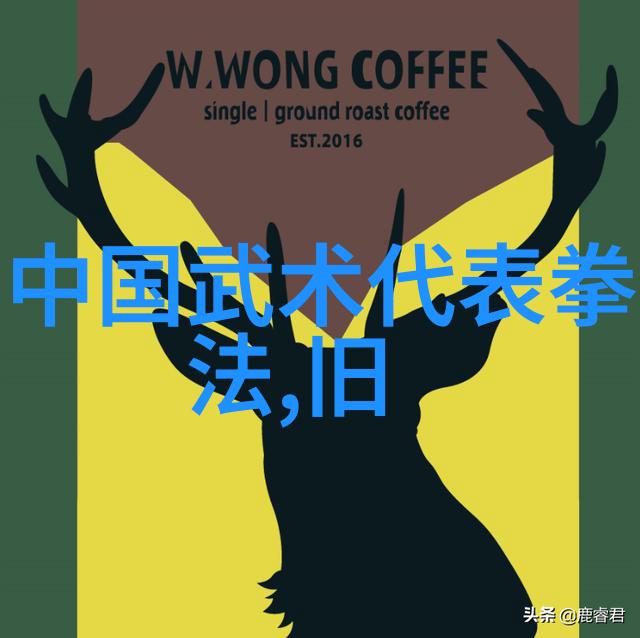 练拳之道悟拳理也功夫大全招式拳法精华藏