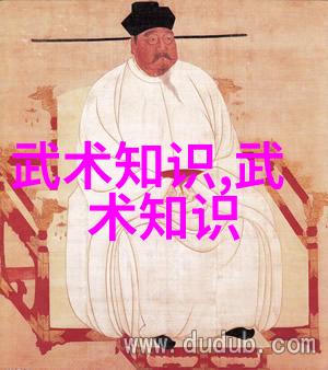 内家外派探究不同流派在基础武功秘籍中的差异