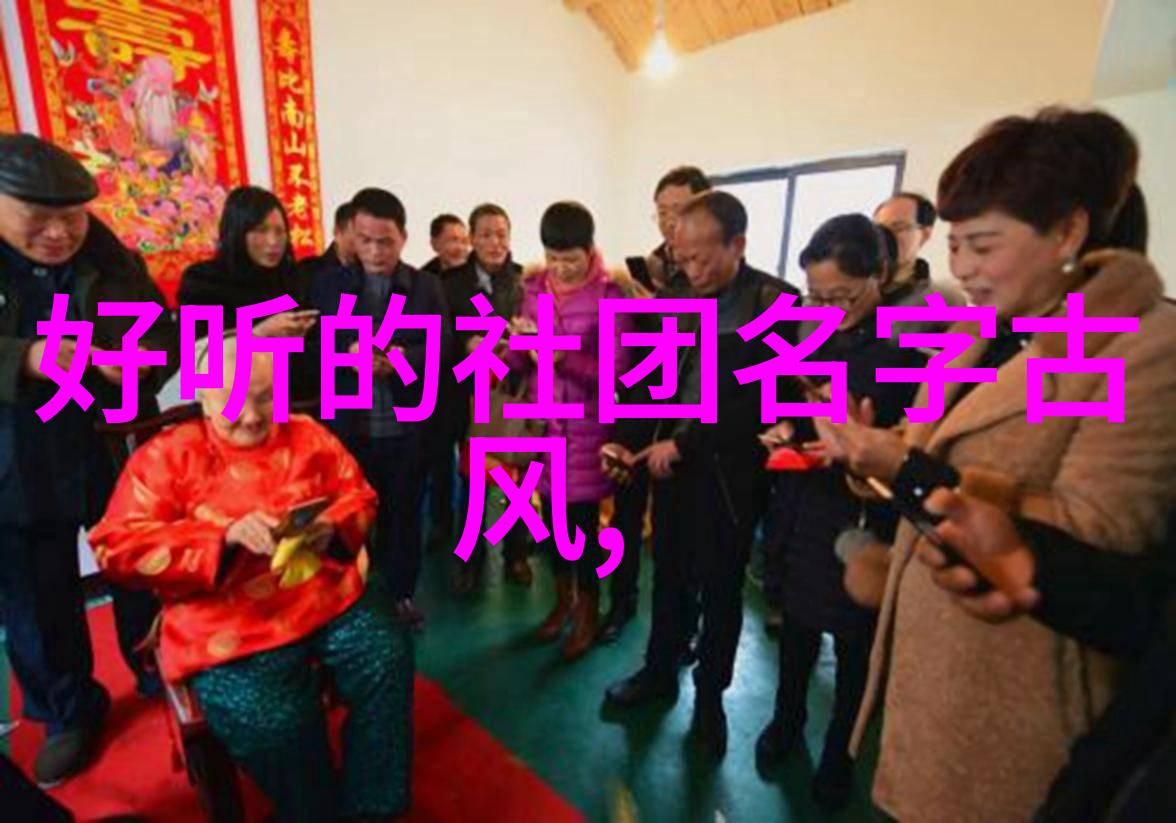 太极流韵24式拳法的艺术探索