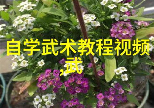 社会生活中的本学期个人总结寻找一部感人电影的旅程
