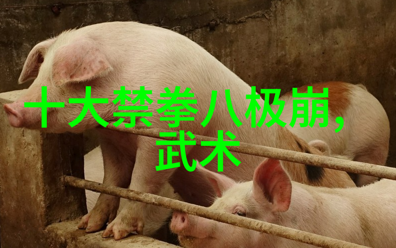 仙剑宗门传承古老而神秘的仙剑宗门
