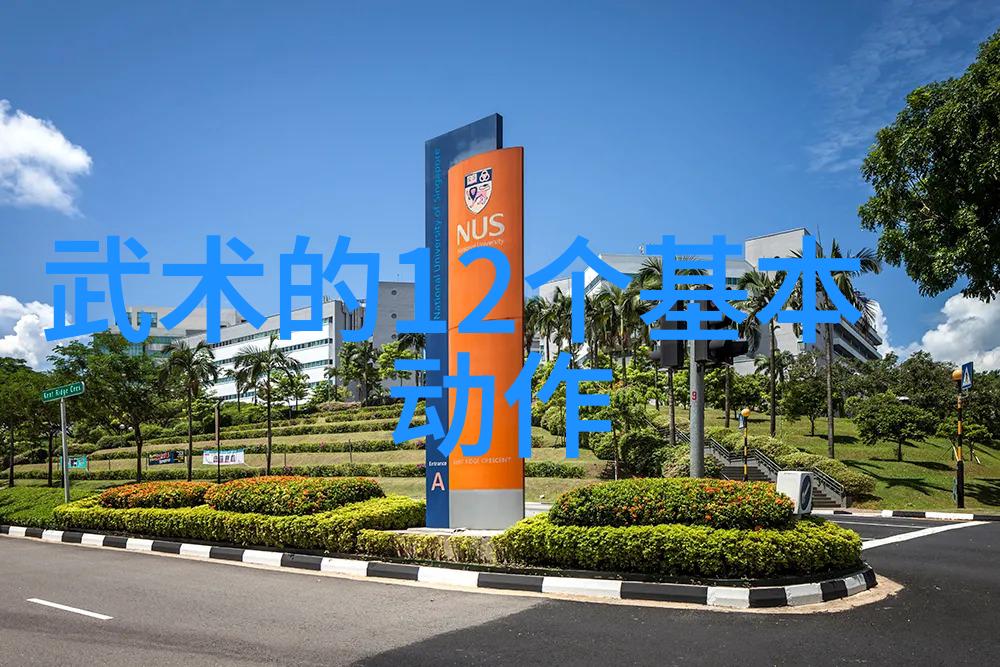 中国功夫中的精妙拳法揭秘武术艺术的奥秘