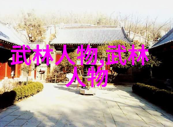 理解太极拳24式中的内外转换