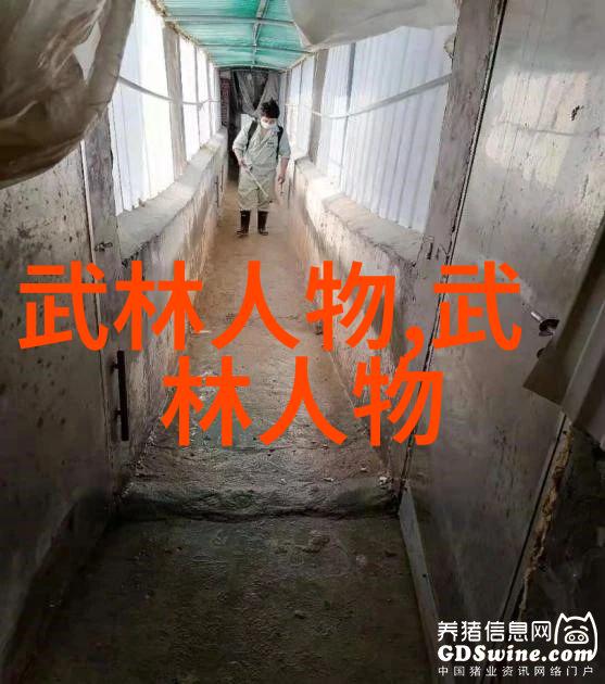 中国武术的宝库30个门派的精华与魅力