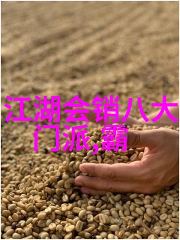 武林八大门派掌门人之南派太极拳
