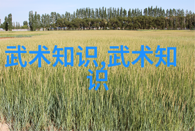 风暴冲击萨甘在环法第11赛段的突袭之旅佛鲁姆紧追不舍