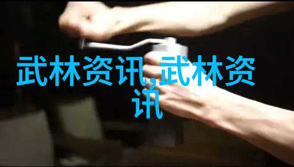 武林门派之争黄林派与峨眉派的对决