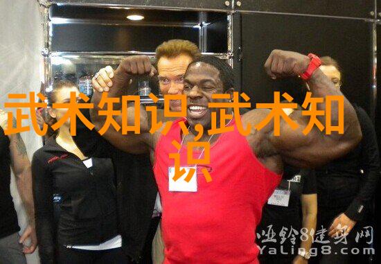 身法演变追溯中国古代劍法棍法槍法等传统武艺之源头与发展历程