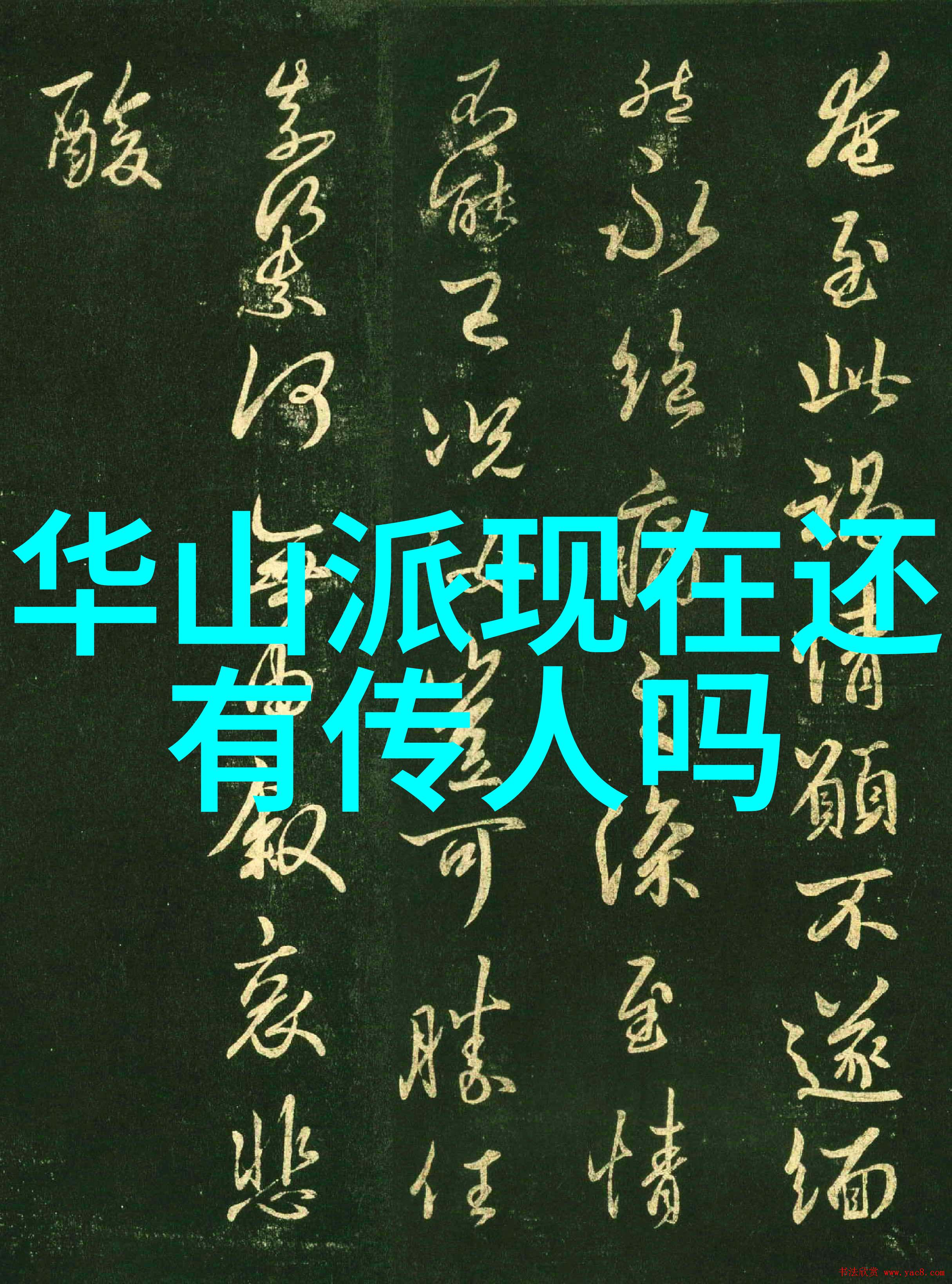 儿子带回家的惊喜晚会家人共度美好时光