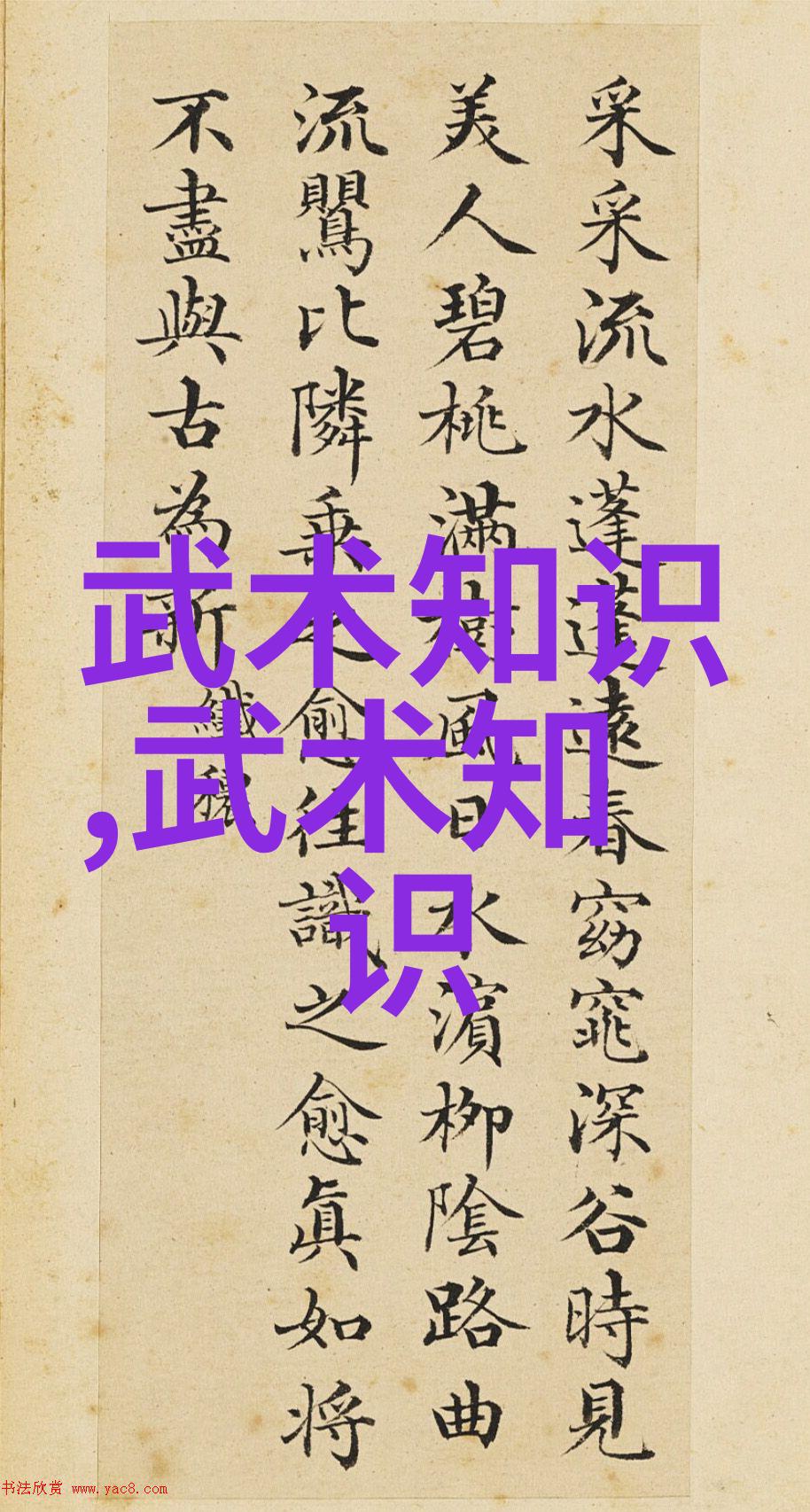 武学秘籍-天地不仁以万物为刍狗探秘古代身法秘籍的奥义