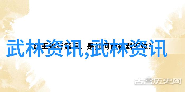 南拳北腿华拳东风谁能夺得打斗大赛的金腰带