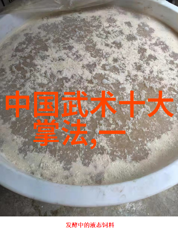 揭秘江湖寻访基础武功秘籍的奇谭与实践