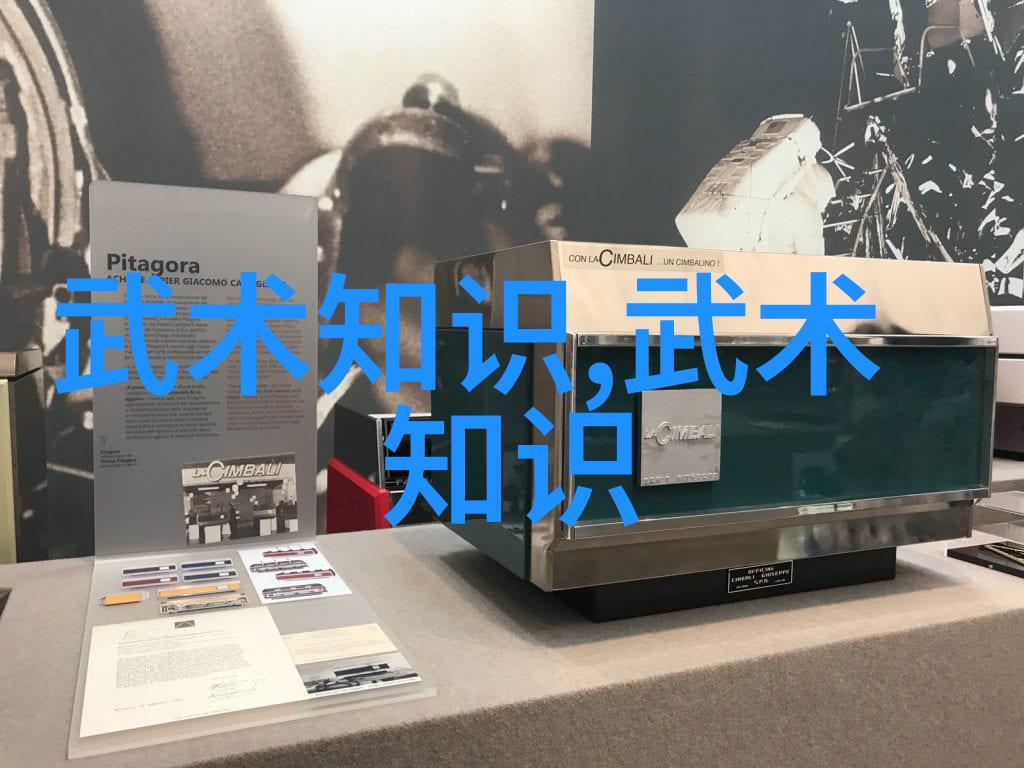 不朽剑法与仙道融合探索 武术与内丹的完美结合