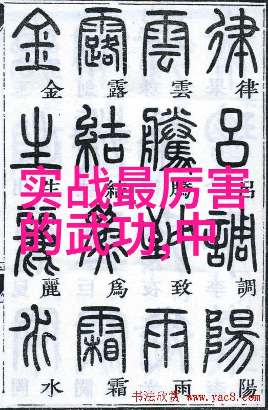 女子剑门翩跹的武道与柔情的秘笈