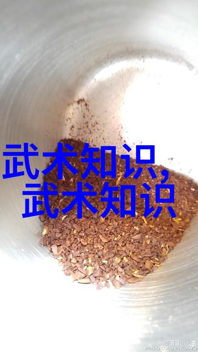 武术宝典拳影秘谱