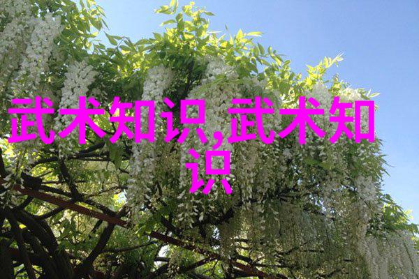 太极拳24式慢动作讲解揭秘古老武术的精髓与哲学