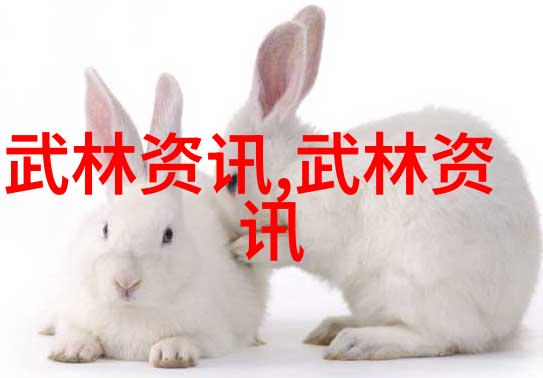 如何快速学会轻功 - 灵动飞跃轻功学习的秘诀与实践技巧