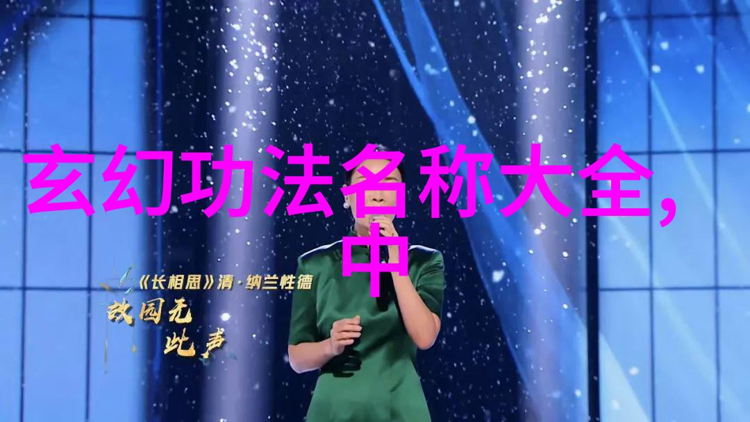 中华武林秘笈揭秘中国传统武术拳法之精髓