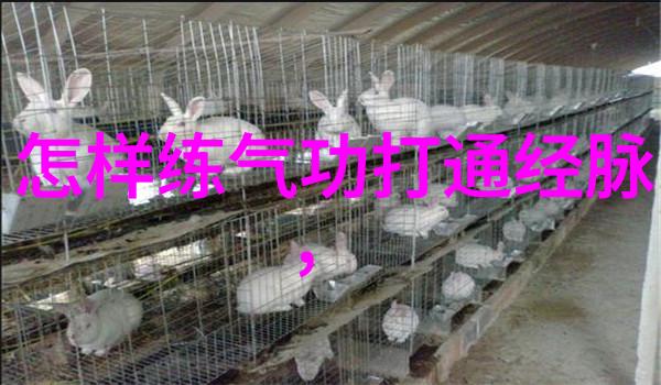 太极拳的灵魂追寻者钱巧珍与二十四式简化太极拳图解的共鸣之旅