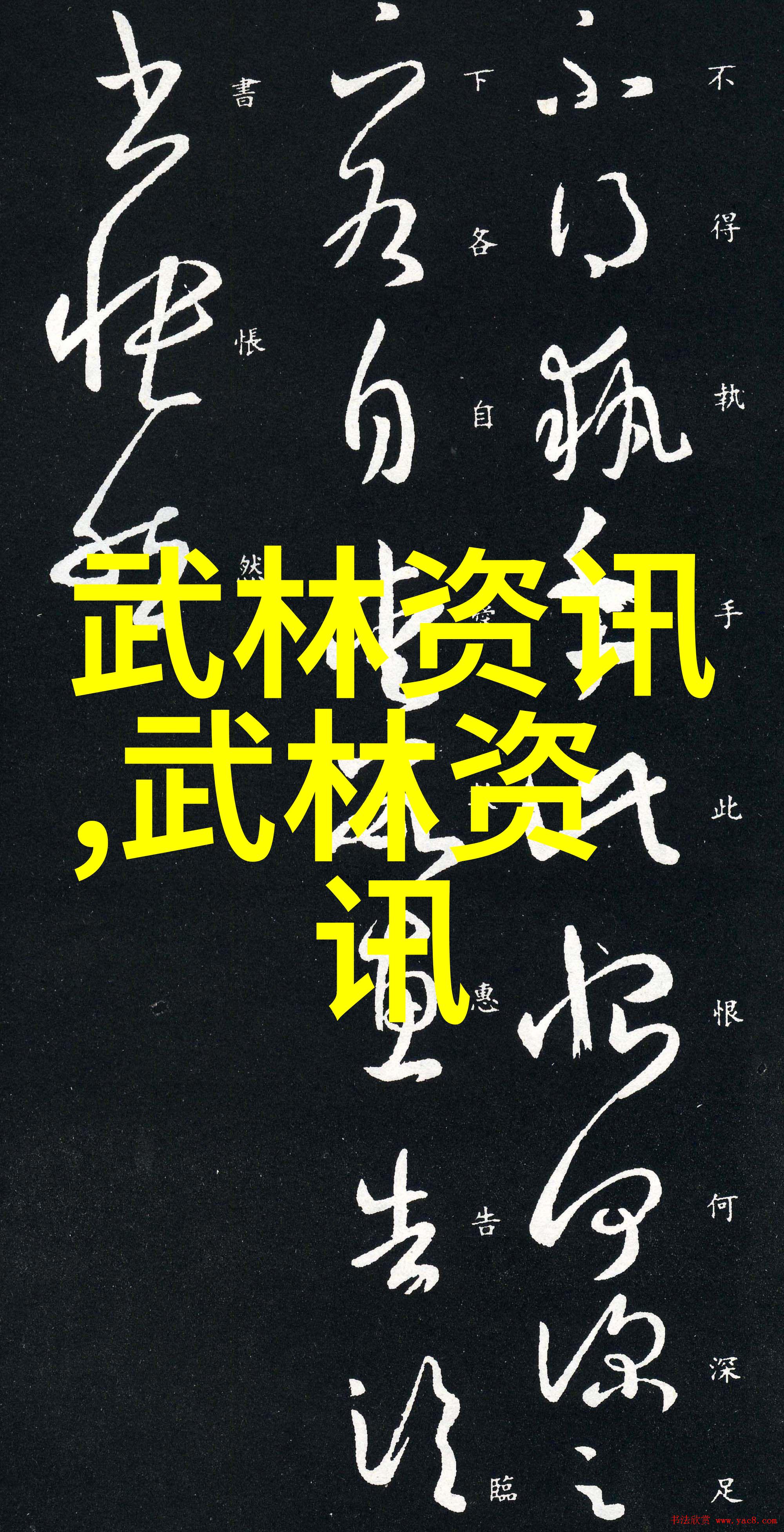 少年武术探索少儿散打的魅力与意义