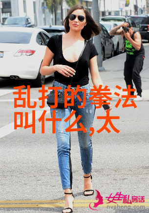 灵动演绎深入理解每个动作背后的意境与技巧分析48式完整版影像资料集内容概述