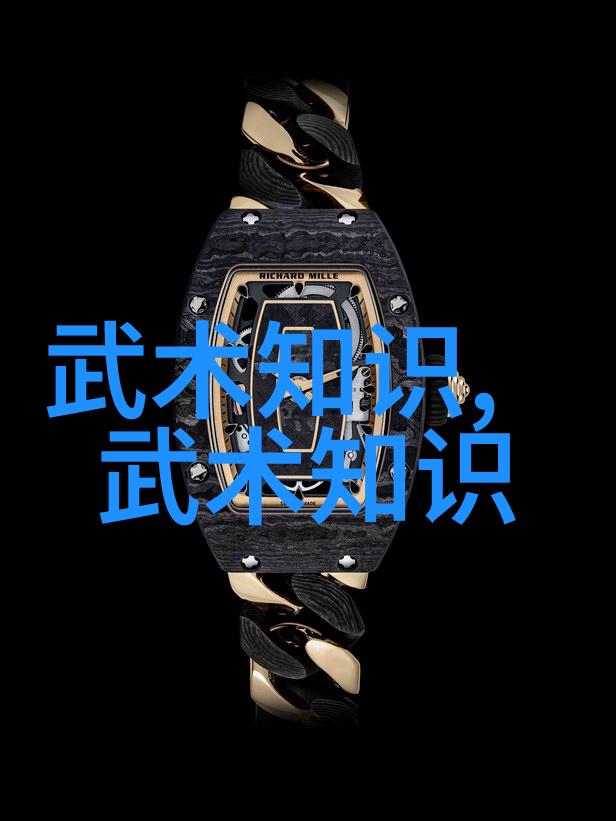 禁用武术网站上的太极拳推手智慧于子顺的出手如锉回手如钩技艺仿佛一位老者在静谧中演绎着岁月的策略
