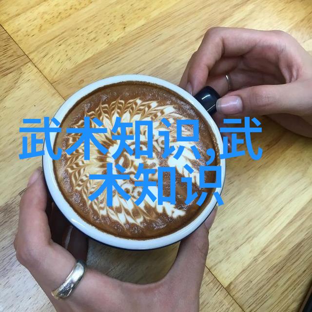 武术活动名称大全揭秘传统与现代的武林精髓