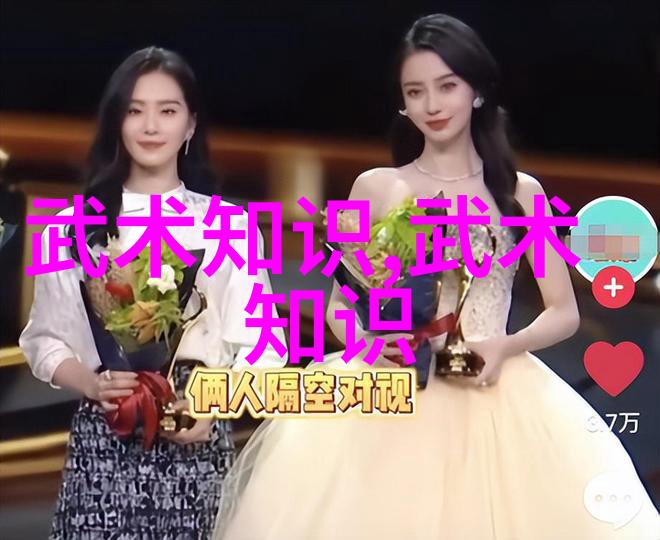 探索太极拳24式的精髓与实践指导