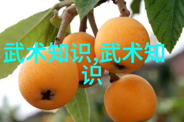 古代武林门派名录汇编