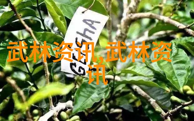 自学武术不负韶华的坚持与探索